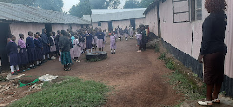 mission%20primary1 mission%20primary1